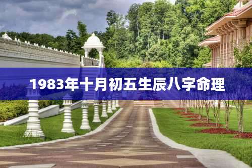 1983年十月初五生辰八字命理