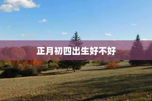 正月初四出生好不好