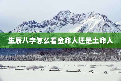 生辰八字怎么看金命人还是土命人