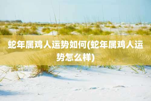 蛇年属鸡人运势如何(蛇年属鸡人运势怎么样)