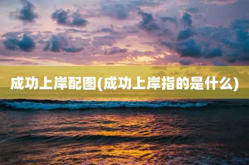 成功上岸配图(成功上岸指的是什么)