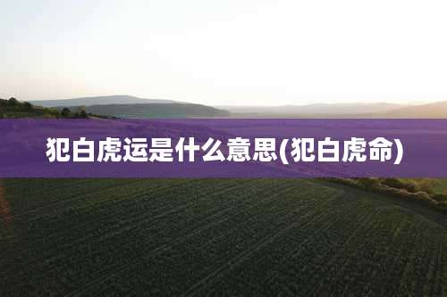 犯白虎运是什么意思(犯白虎命)