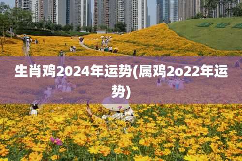 生肖鸡2024年运势(属鸡2o22年运势)
