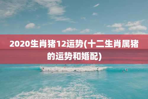 2020生肖猪12运势(十二生肖属猪的运势和婚配)