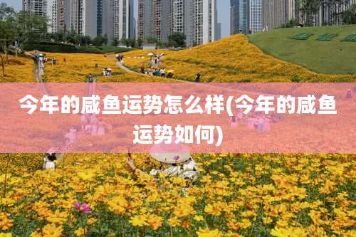 今年的咸鱼运势怎么样(今年的咸鱼运势如何)