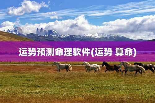 运势预测命理软件(运势 算命)