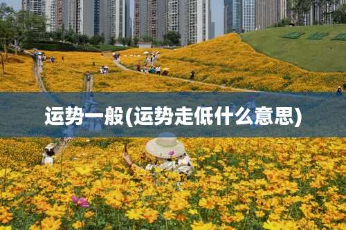 运势一般(运势走低什么意思)