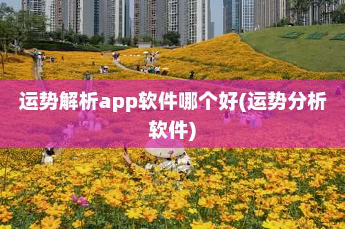 运势解析app软件哪个好(运势分析软件)