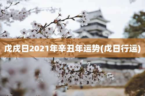 戊戌日2021年辛丑年运势(戊日行运)