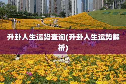 升卦人生运势查询(升卦人生运势解析)