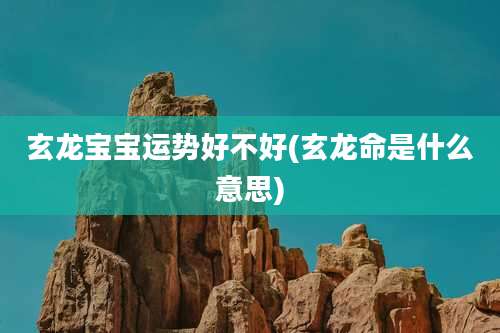 玄龙宝宝运势好不好(玄龙命是什么意思)