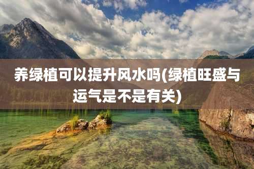 养绿植可以提升风水吗(绿植旺盛与运气是不是有关)