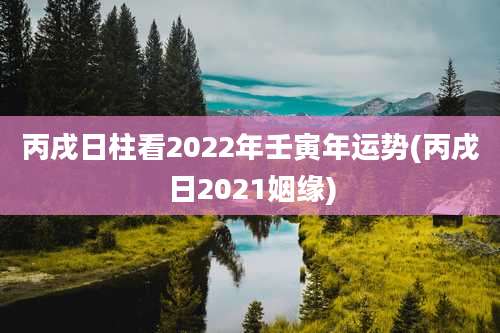 丙戌日柱看2022年壬寅年运势(丙戌日2021姻缘)