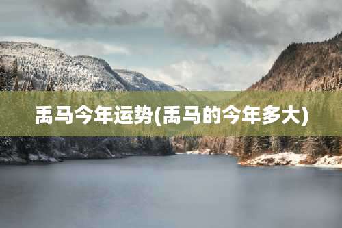 禹马今年运势(禹马的今年多大)