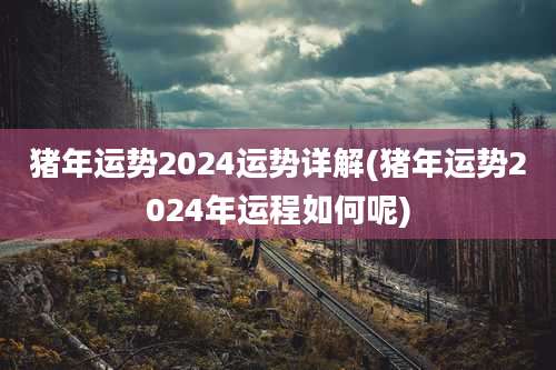 猪年运势2024运势详解(猪年运势2024年运程如何呢)