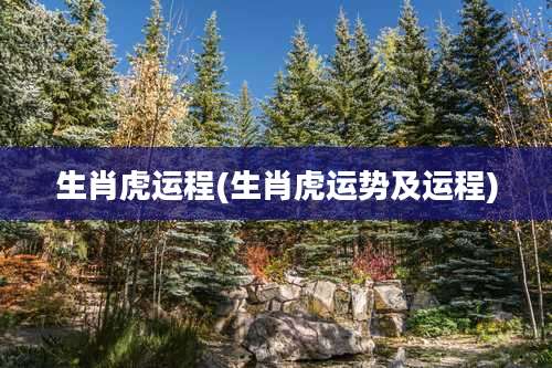 生肖虎运程(生肖虎运势及运程)