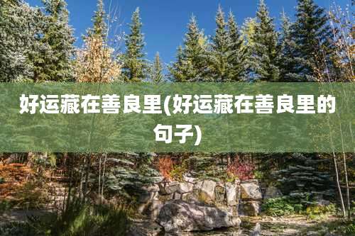 好运藏在善良里(好运藏在善良里的句子)