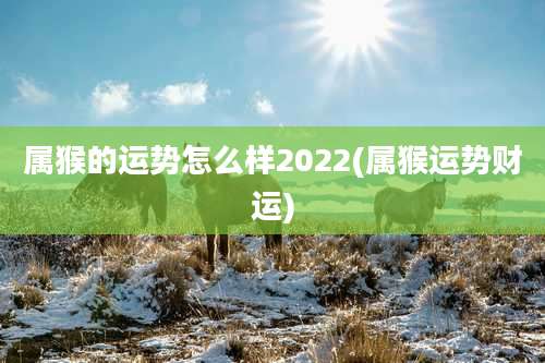 属猴的运势怎么样2022(属猴运势财运)
