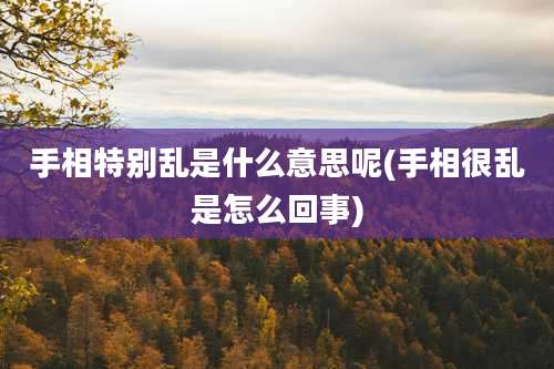 手相特别乱是什么意思呢(手相很乱是怎么回事)