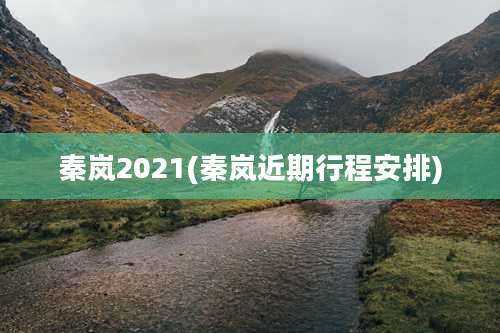 秦岚2021(秦岚近期行程安排)