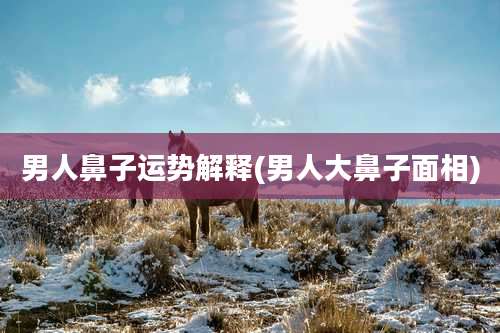 男人鼻子运势解释(男人大鼻子面相)