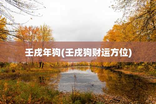 壬戌年狗(壬戌狗财运方位)