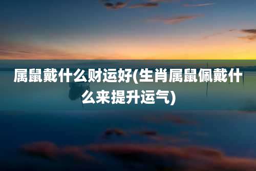 属鼠戴什么财运好(生肖属鼠佩戴什么来提升运气)