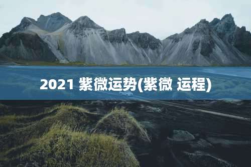 2021 紫微运势(紫微 运程)