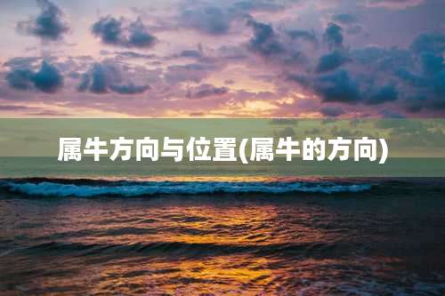 属牛方向与位置(属牛的方向)