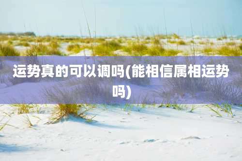 运势真的可以调吗(能相信属相运势吗)