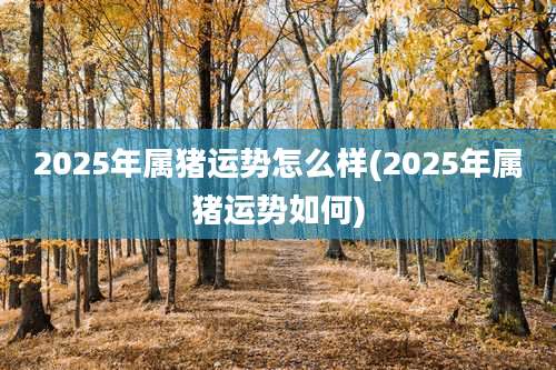 2025年属猪运势怎么样(2025年属猪运势如何)