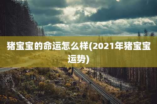 猪宝宝的命运怎么样(2021年猪宝宝运势)