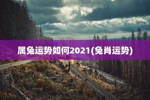 属兔运势如何2021(兔肖运势)