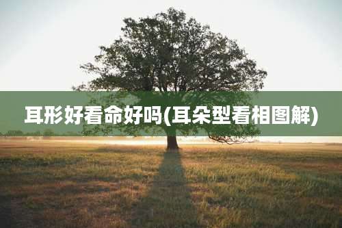 耳形好看命好吗(耳朵型看相图解)