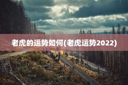 老虎的运势如何(老虎运势2022)