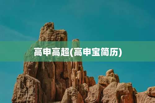 高申高超(高申宝简历)