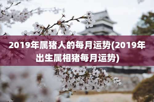 2019年属猪人的每月运势(2019年出生属相猪每月运势)