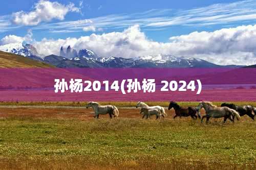 孙杨2014(孙杨 2024)