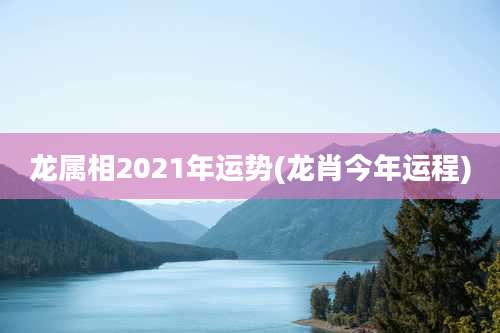 龙属相2021年运势(龙肖今年运程)