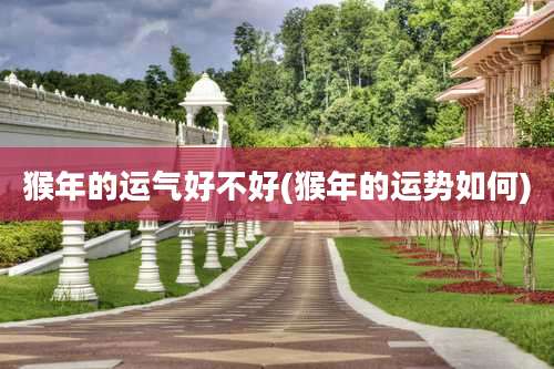 猴年的运气好不好(猴年的运势如何)