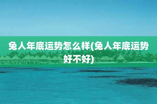 兔人年底运势怎么样(兔人年底运势好不好)