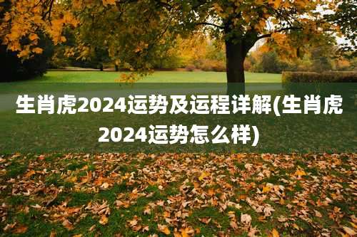 生肖虎2024运势及运程详解(生肖虎2024运势怎么样)