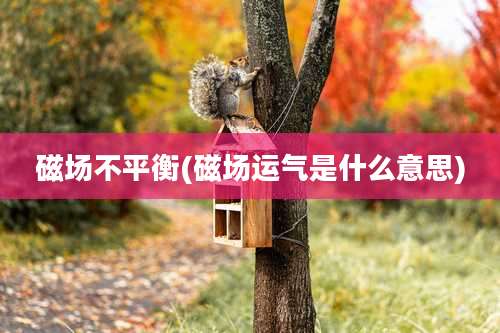磁场不平衡(磁场运气是什么意思)