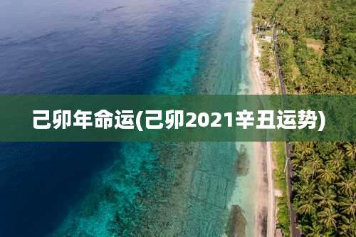 己卯年命运(己卯2021辛丑运势)