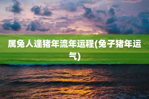 属兔人逢猪年流年运程(兔子猪年运气)