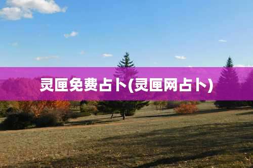 灵匣免费占卜(灵匣网占卜)