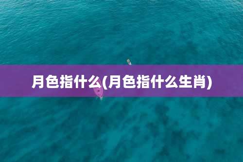 月色指什么(月色指什么生肖)