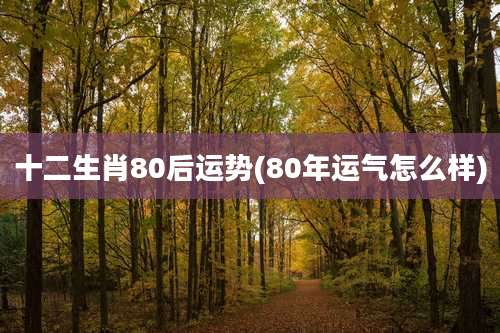 十二生肖80后运势(80年运气怎么样)