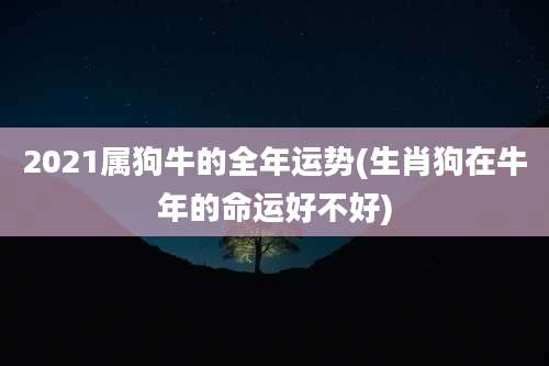 2021属狗牛的全年运势(生肖狗在牛年的命运好不好)