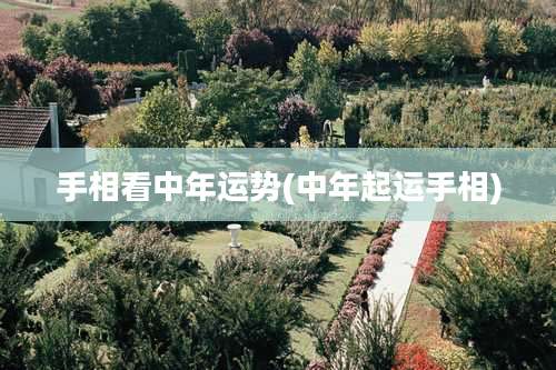 手相看中年运势(中年起运手相)